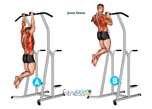 Pull-ups con agarre neutral